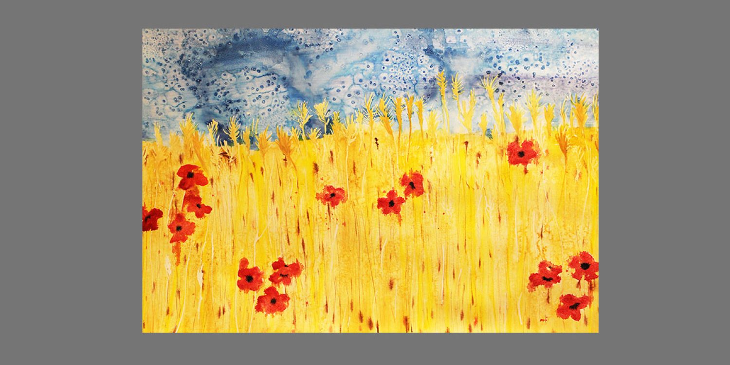 'Poppies in wheatfields' by Catherine Anicic