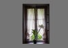 Monet's window in Giverny by Lori Challman