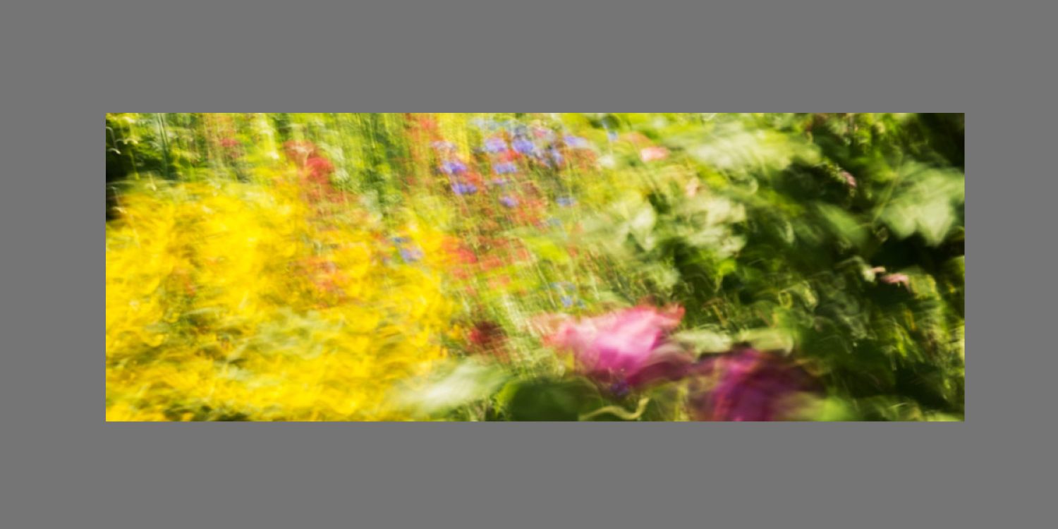 'Monet's Garden' by Stephanie Dickson