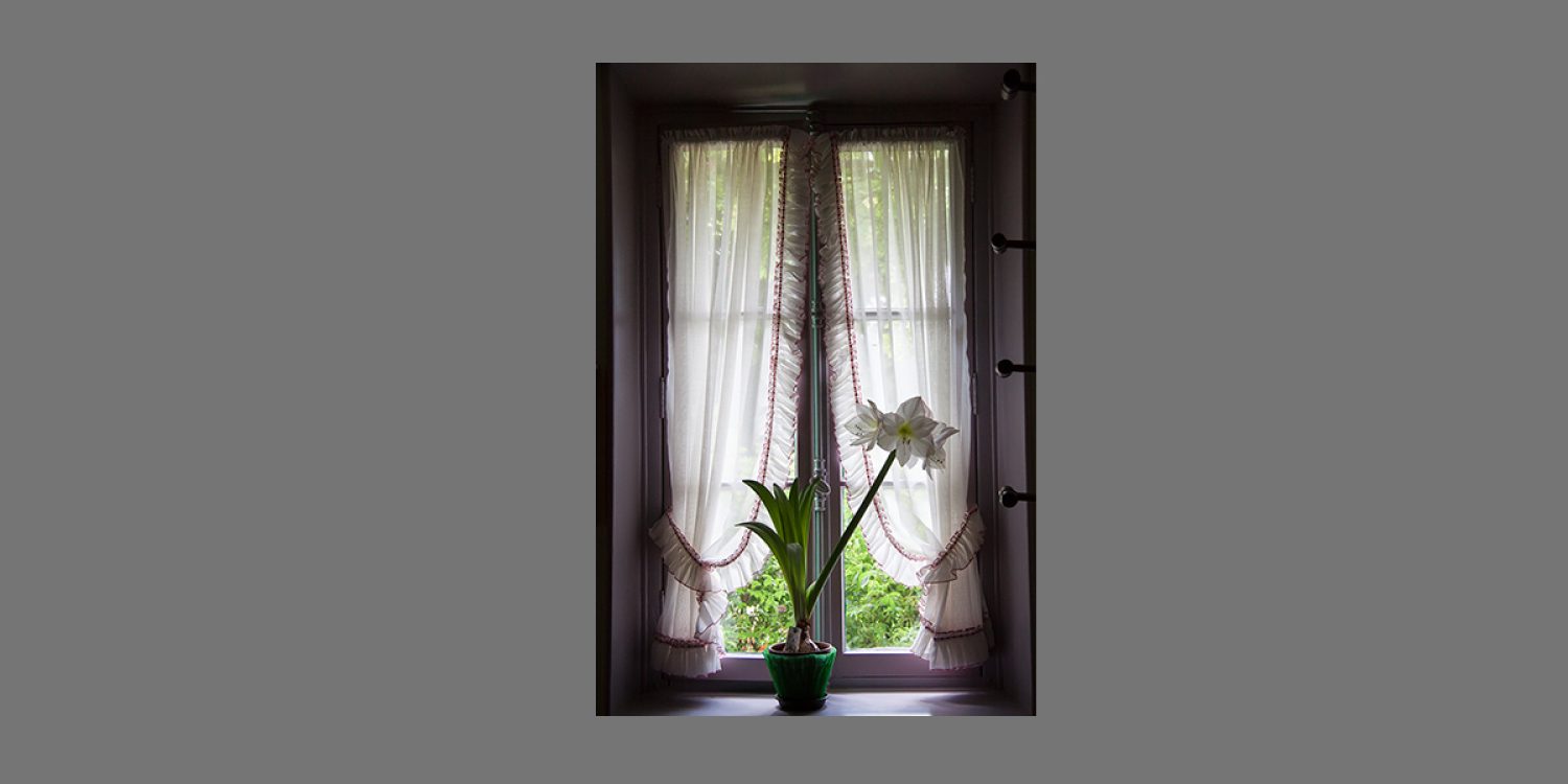 Monet's window in Giverny by Lori Challman